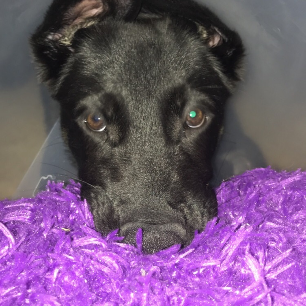 Meet your Posher, Madison